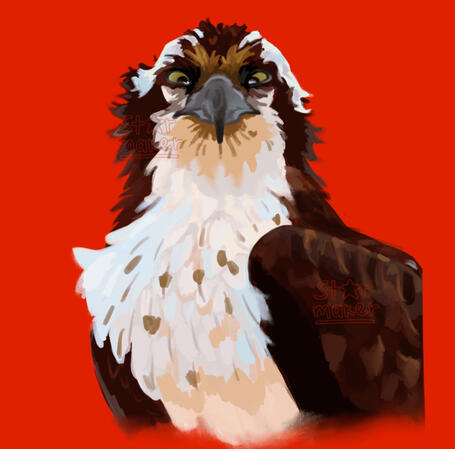 Animal Rendered